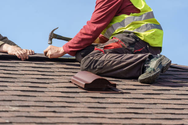 Best Roof Installation Near Me  in Dewitt, MI