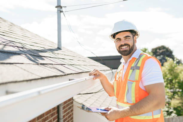 Best Commercial Roofing Services  in Dewitt, MI