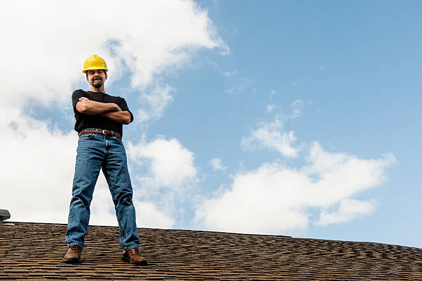 Best Roof Repair Services  in Dewitt, MI