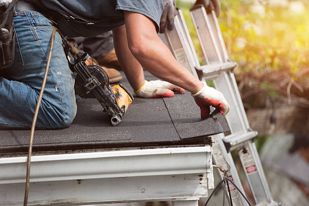 Best Roof Waterproofing Services  in Dewitt, MI