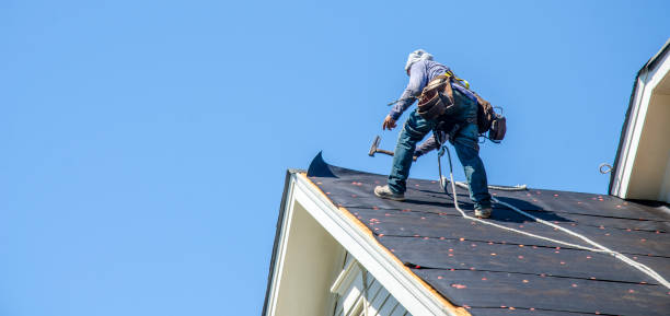Best New Roof Installation  in Dewitt, MI